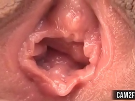 Pussy Free Asian Pussy Licking Porn Video